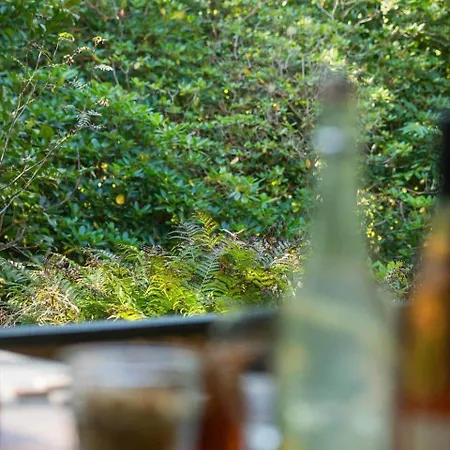 Feriehus 1032-vejby-store-orebjergvej-83 Vejby